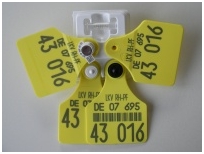 Landeskontrollverband Rheinland-Pfalz-Saar e.V.